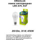 ERGOLUX (14228) LED-A65-25W-E27-6K