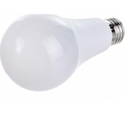 ERGOLUX (14228) LED-A65-25W-E27-6K
