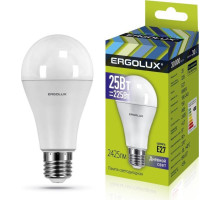 ERGOLUX (14228) LED-A65-25W-E27-6K