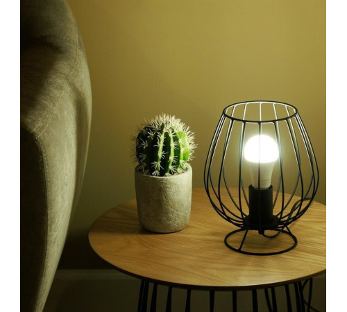 ERGOLUX (14228) LED-A65-25W-E27-6K