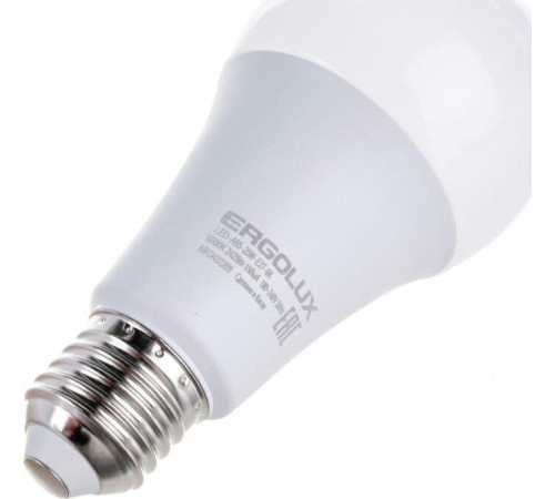 ERGOLUX (14228) LED-A65-25W-E27-6K