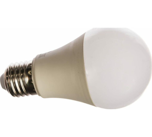 CAMELION (12651) LED11-A60/865/E27