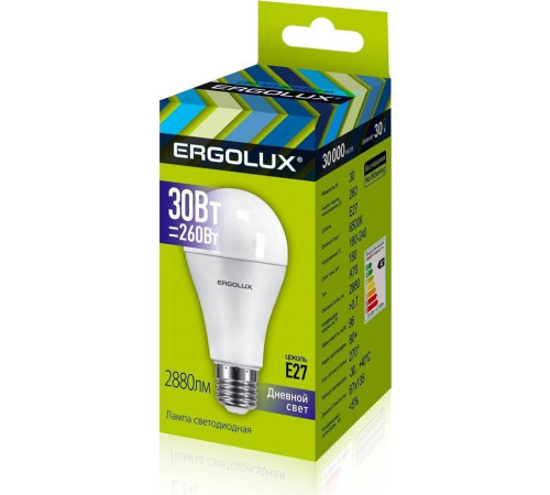 ERGOLUX (14230) LED-A70-30W-E27-6K