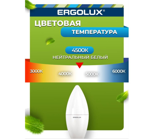ERGOLUX (13619) LED-C35-11W-E14-4K