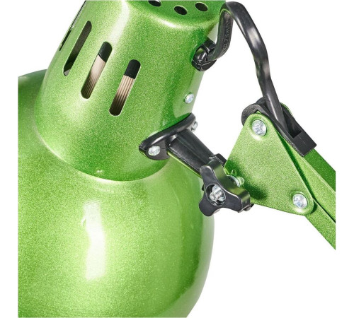 CAMELION (12339) KD-312 C05 40Вт/E27 зелёный