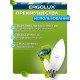 ERGOLUX (13620) LED-C35-11W-E14-6K