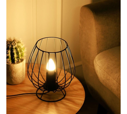 ERGOLUX (13621) LED-C35-11W-E27-3K