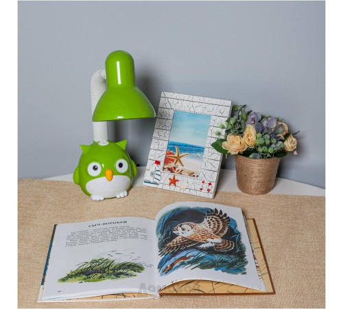 CAMELION (12604) KD-380 C05 40Вт/E27 зелёный Сова