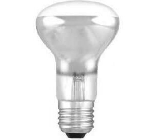 CAMELION (8979) 40/R63/E27 - зеркальная