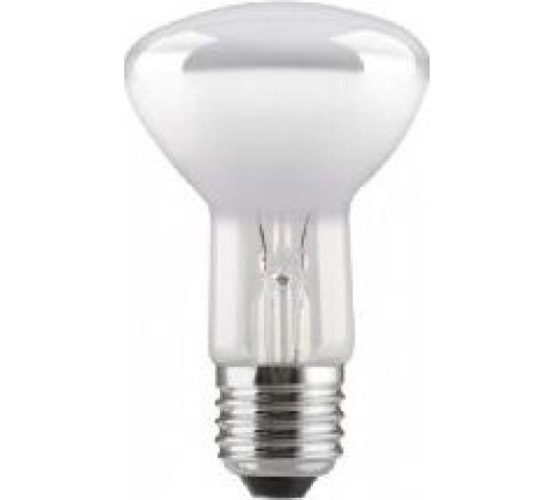 CAMELION (8979) 40/R63/E27 - зеркальная