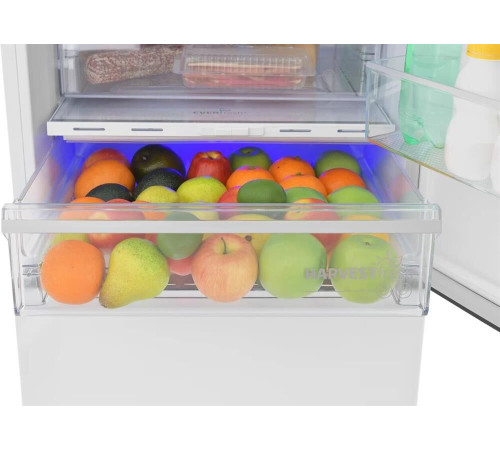 BEKO B5RCNK403ZW HarvestFresh