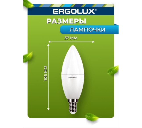 ERGOLUX (14545) LED-C35-10W-E14-4K