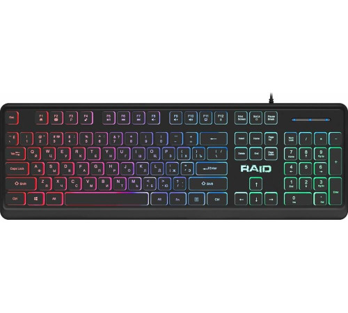 DEFENDER (45778) RAID GK-778DL RU