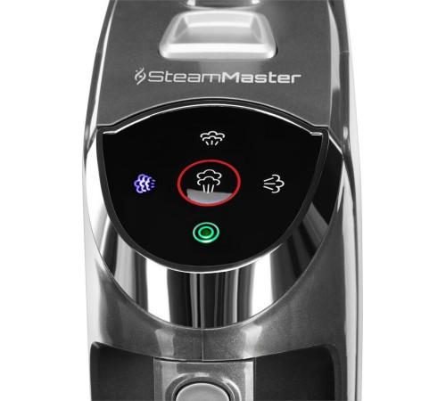 STARWIND SSV9555 (вертикальный, паровой)