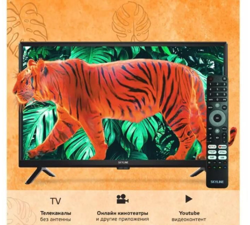 SKYLINE 24YST5970 HD SMART TV