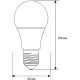 CAMELION (14711) LED11-A60-3/845/E27