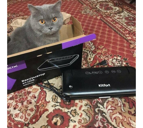 KITFORT KT-1508 черный