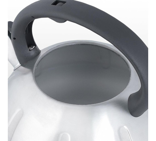 MALLONY Чайник из нерж. стали MAL-066, 3 литра, цельнометаллический, матовый,со свистком (910086)