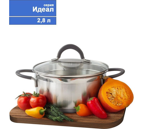 TIMA ИДЕАЛ 2,8л, с 2-мя носиками, с крышкой, с силикон. ручками ID-2028