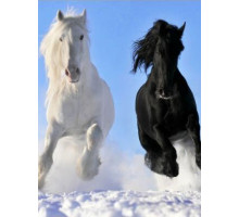 ДЫХАНИЕ ТЕПЛА Электрообогреватель бытовой настенный (рис. Пегас) Артикул 19с425