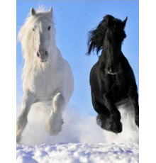 ДЫХАНИЕ ТЕПЛА Электрообогреватель бытовой настенный (рис. Пегас) Артикул 19с425