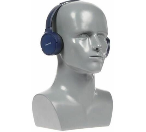 PANASONIC RB-HF420BGEA