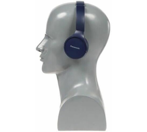 PANASONIC RB-HF420BGEA