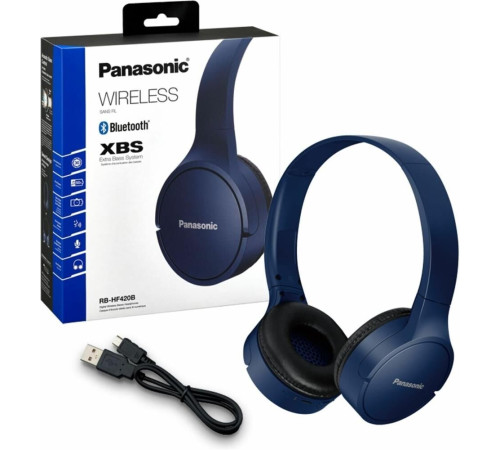 PANASONIC RB-HF420BGEA