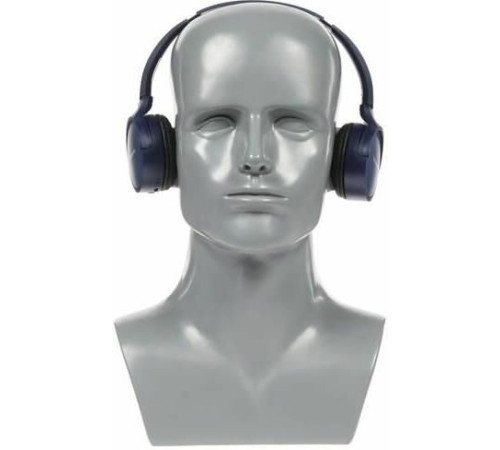 PANASONIC RB-HF420BGEA