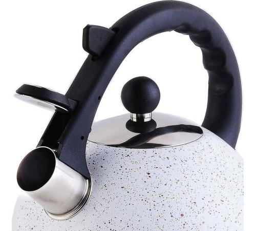 MAYER&BOCH 30958 2,5 л