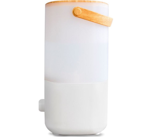 LORIOT LHS-C300M ультразвуковой