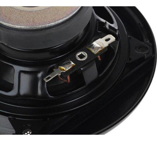 PIONEER TS-G1020F [ПИ]