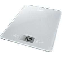 CENTEK CT-2462 silver