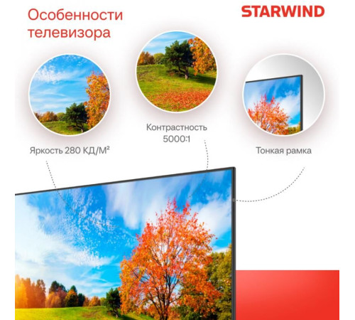 STARWIND SW-LED65UG402 4K UHD SMART TV Яндекс Безрамочный