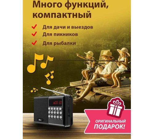 RITMIX RPR-001, черный