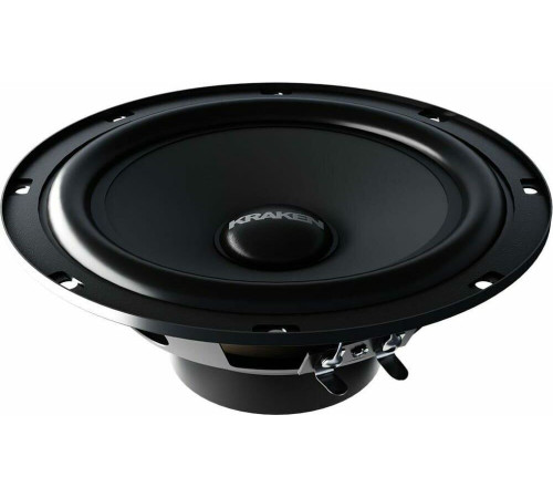 PROLOGY RX-65CS KRAKEN - 2 полосная компонентная