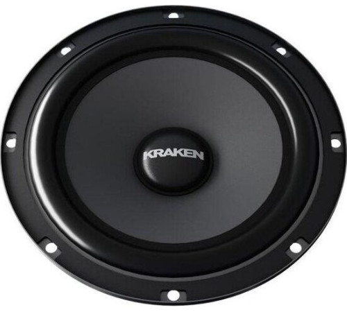 PROLOGY RX-65CS KRAKEN - 2 полосная компонентная