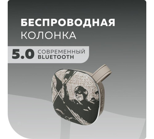 MORE CHOICE (4610196400865) BS12 Grey