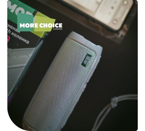 MORE CHOICE (4610196400902) BS22 Grey