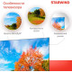 STARWIND SW-LED50UG403 4K UHD SMART TV Яндекс Безрамочный