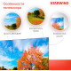 STARWIND SW-LED55UG403 4K UHD SMART TV Яндекс Безрамочный