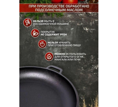 ГАРДАРИКА 0020-4 чугунная порционная с двумя ручками д.20см