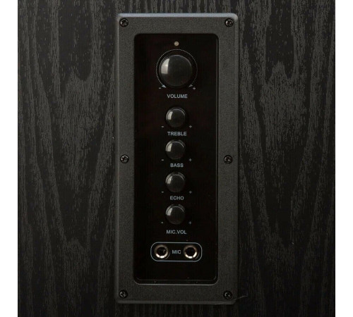 ELTRONIC (20-82) Home Sound черный - колонка 08