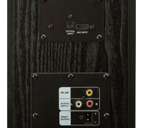 ELTRONIC (20-82) Home Sound черный - колонка 08