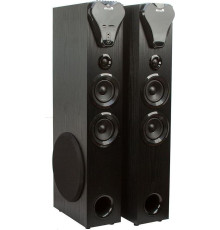 ELTRONIC (20-80) HOME SOUND черный - колонка 10