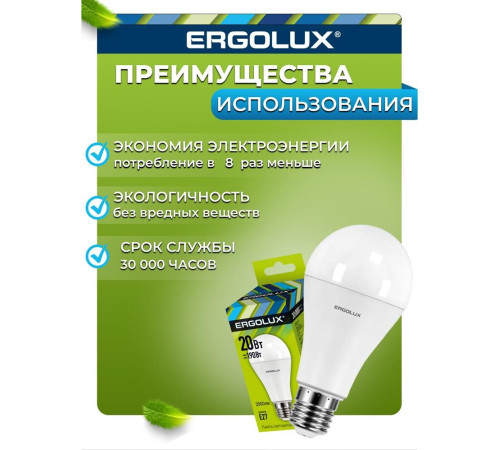 ERGOLUX (13183) LED-A65-20W-E27-4K