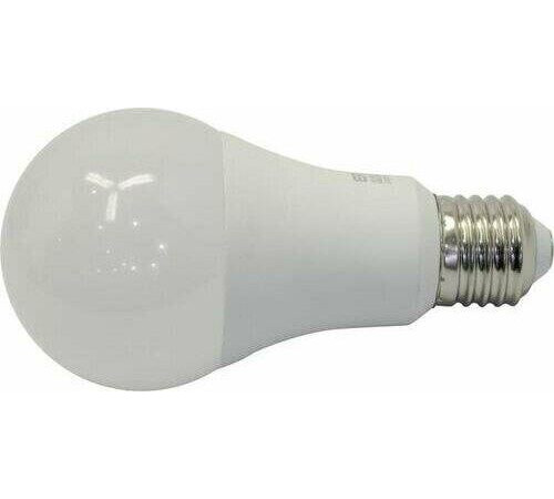 ERGOLUX (13183) LED-A65-20W-E27-4K