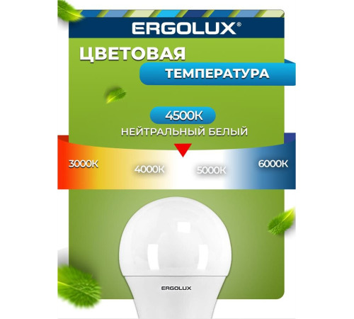ERGOLUX (13183) LED-A65-20W-E27-4K