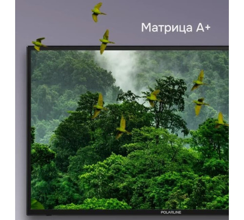 POLARLINE 32PL55TC-SM HD SMART TV Салют