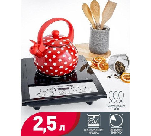 METALLONI ЕМ-25101/66 2,5 л